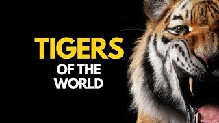 Tigers of the World