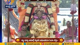 Tirumala Srivari Brahmotsavam |  Simha Vahana Seva performed
