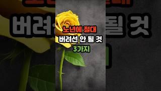 노년에 절대 버려선 안 될 것 세 가지 #명언 #긍정의말 #긍정적마인드 #좋은글 #지혜