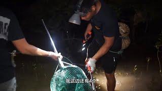 无人岛螃蟹满地爬，老四深夜带团队围岛抓，抓到塞满桶底