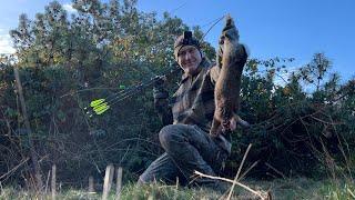 Rabbit with a stickbow - Traditional Bowhunting for rabbits - Tales From the Willows