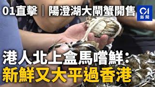 01直擊｜陽澄湖大閘蟹開售　港人北上盒馬嚐鮮：新鮮又大平過香港｜01新聞｜中國｜北上消費｜飲食｜蟹｜海鮮