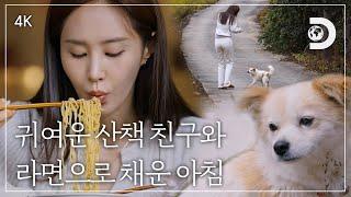 [4K] 라면 + 강아지, 아침을 보내기 가장 좋은 조합 [잠적:권유리] 1부