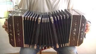 AA 152 tone bandoneon, full MOP Palisander, #610