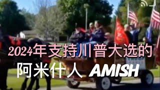 【为什么2024年神秘阿米什人支持川普？】Why do the mysterious Amish support Trump in 2024?