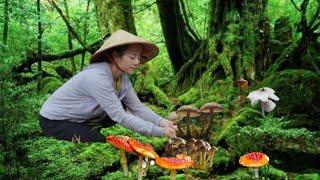 full video: Harvesting wild MUSHROOMS, selling vegetables and visiting my ex-husband