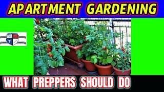 Apartment Indoor Survival Garden for SHTF - Prepper Food Gardening