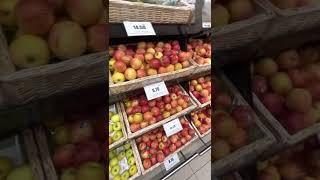 صادرات انواع میوه و تره بار به دبی