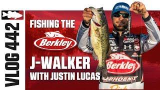 Justin Lucas Fishing The Berkley J-Walker on Lake X in Kentucky –  Tackle Warehouse VLOG #442