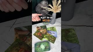 ЖДЕТ ЛИ ОН МЕНЯ? таро расклад