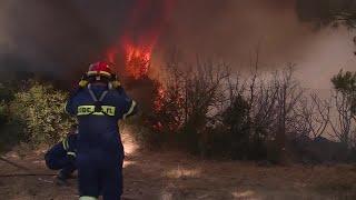 Smoke looms over Athens as firefighters battle wildfires | REUTERS