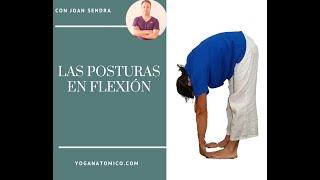 flexiones