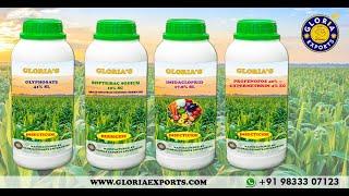 Gloria Exports Enterprise - Agro Chemicals Factory Tour