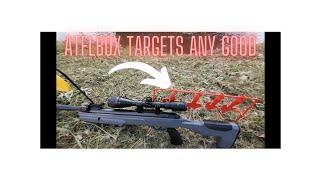 Amazon airgun targets ( any good ) #airguns #pellets