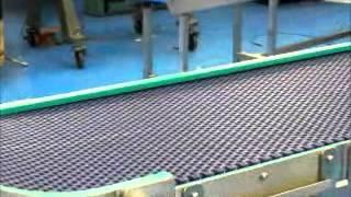 C-Trak Conveyors
