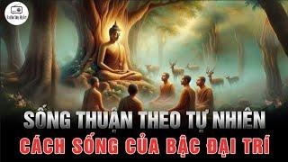 Sống thuận theo tự nhiên - Cách Sống Của Bậc Đại Trí