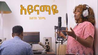 New Ethiopian Cover Music  By Tsegenet Goshem /አይናማዬ/ Official Video 2025