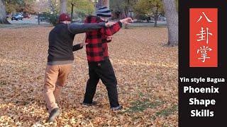 Yin Style Baguazhang Phoenix Shape Skills