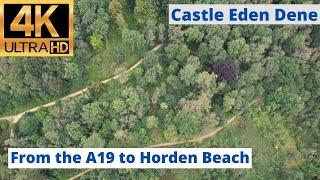 Castle Eden Dene National Nature Reserve, A19 to Horden Beach. (4K)