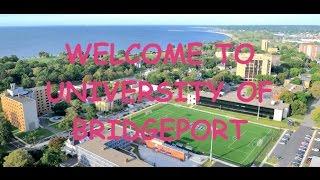 Belvie's Adventure - Welcome to University of Bridgeport