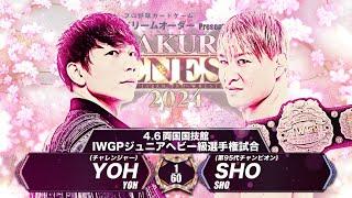 【新日本プロレス】YOH vs SHO 煽りVTR【IWGPジュニアヘビー級選手権試合／2024.4.6 東京・両国国技館】