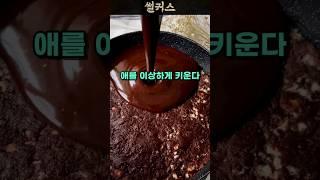 며느리 대신 복수해준 남편