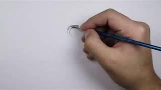 Creative Dude - Intro