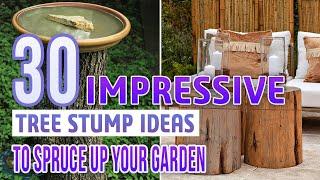 30 Impressive Tree Stump Ideas To Spruce Up Your Garden