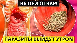 Замедляет Развитие Тромбов, Паразиты Выйдут Утром - Бесплатный Дар Природы От Бронхита Для Здоровья