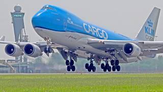 FULL KLM Fleet 2024, All Types & subsidiaries, Transavia, KLM Cargo, Martinair & KLM Cityhopper