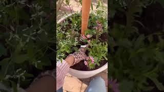 Зона отдыха своими руками  #diy #декор #интерьер #дача