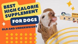 High Calorie Supplement for Dogs -  Under the Weather Pet's Ready Cal Gel