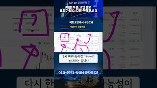 비트코인캐시 언제 다시 오를까?! #BCH