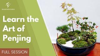 Learn the Art of Penjing | Full Session