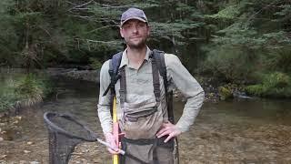 Amped scientists up to their knees in river research