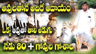 గుంతకల్ గోశాల విజయం | Guntakal Cow farm |  Narendar Reddy