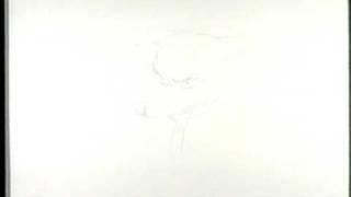 Leonardo's Chase   Rough Animation