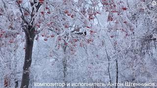 Как живут зимой  птицы и коты в городе.