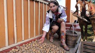 Hard life in village: potato from planting to table! 5 Amazing Ukrainian foods with potatoes