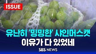 유난히 '밍밍한' 샤인머스캣…이유가 다 있었네 (이슈라이브) / SBS