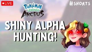  SHINY ALPHA HUNTING! | Live Stream | Pokémon Legends Arceus #shorts