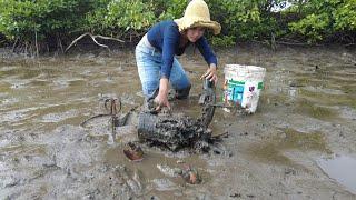 Mangrove Crab Hunt: How to Catch the Biggest Mud Crabs