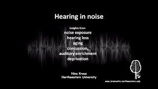 Hearing in Noise: Insights from Noise Exposure, Hearing Loss, Aging, Concussion, and more.