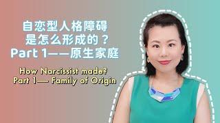 自恋型人格障碍是怎么形成的？Part 1-原生家庭的影响 How Narcissist made? Part 1- Family of Origin #爱丽丝的奇妙世界 #自恋型人格障碍 #自恋型人格