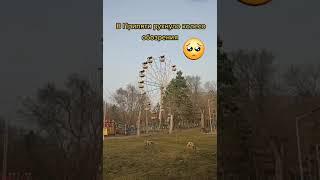 в Припяти рухнуло колесо обозрения