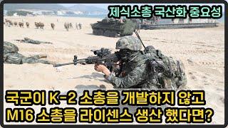 [밀리터리 덕후 밀떡] K-2 소총 개발하지 않고 계속 M16을 사용했다면?