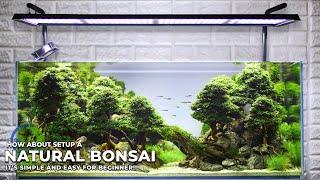 BONSAI CLIFF VIEW  ||  NATURAL BONSAI AQUASCAPE