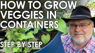 How to Grow Vegetables in Containers - A Step by Step Guide || Black Gumbo