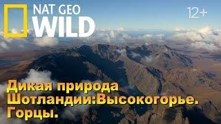 Nat Geo Wild: Дикая природа Шотландии: Высокогорье. Горцы / Wild Scotland. Highlands