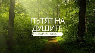 11. ПЪТЯТ НА ДУШИТЕ  - НАПРЕДНАЛАТА ДУША - Майкъл Нютън - част 1  #душа #прераждане #регрессия